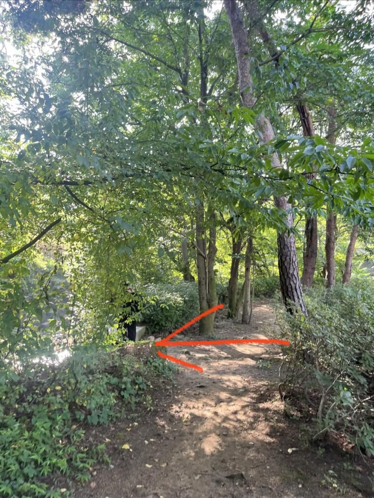 The unmarked side path (saetgil) where the fence ends along the Jingwansa Valley trail